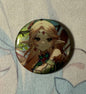 League of Legends Ezreal, Lux,Syndra Sparkle Badge